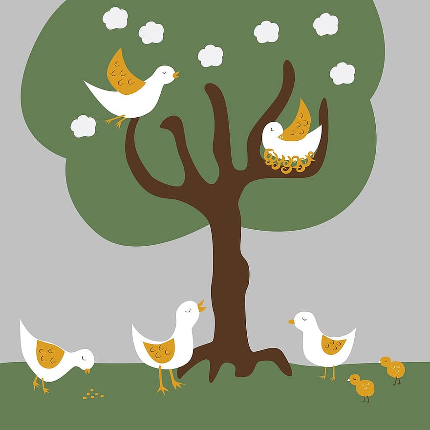 kuşlar, ağaç, bahar, Sonraki