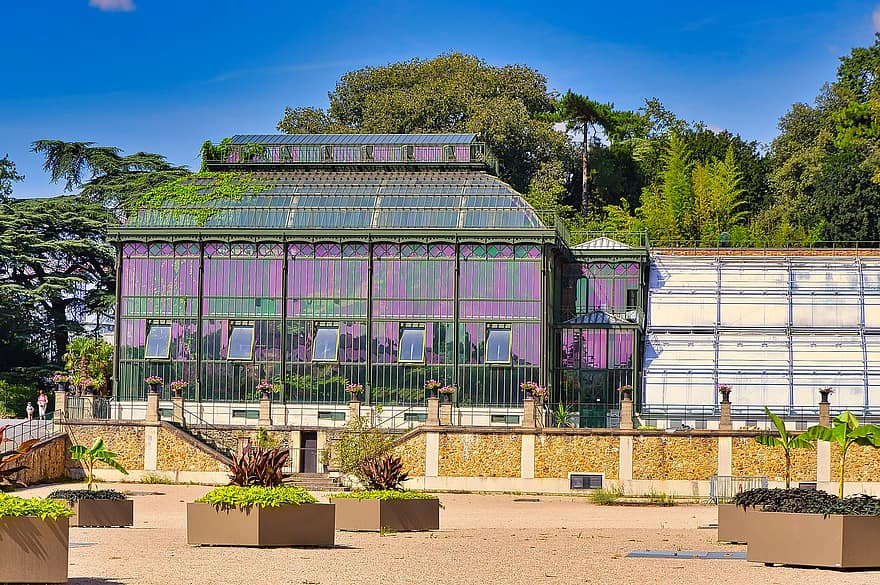 jardin des plantes, Kebun Raya, Paris, Perancis, tanaman, rumah kaca, bangunan, botani, taman