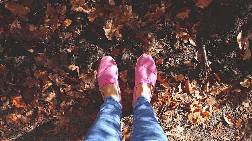 sapatos rosas, humor de outono, outono