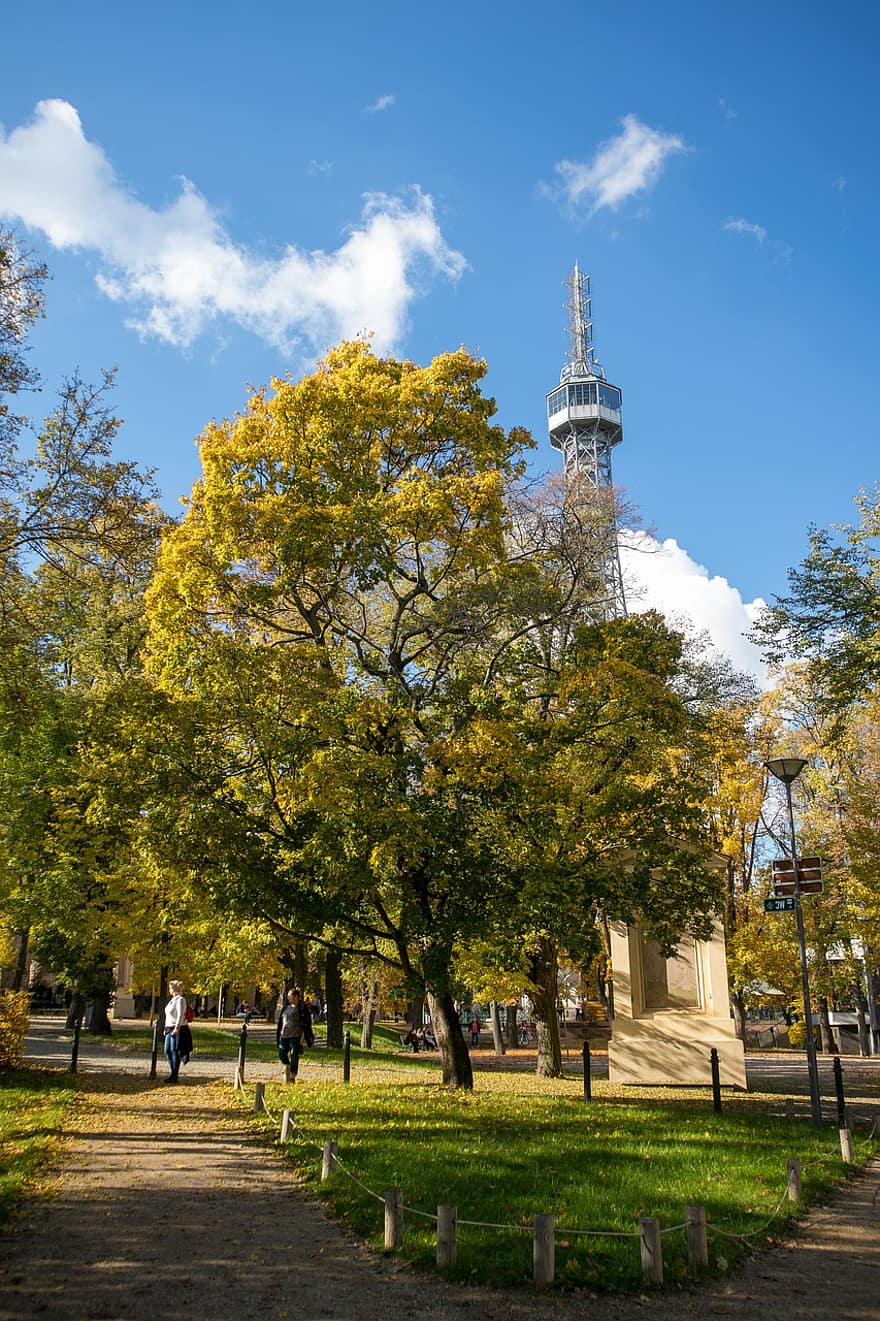 осінь, парк, Прага, вежа, дерева, природи, місто, петрин, визначні пам'ятки, міський, дерево