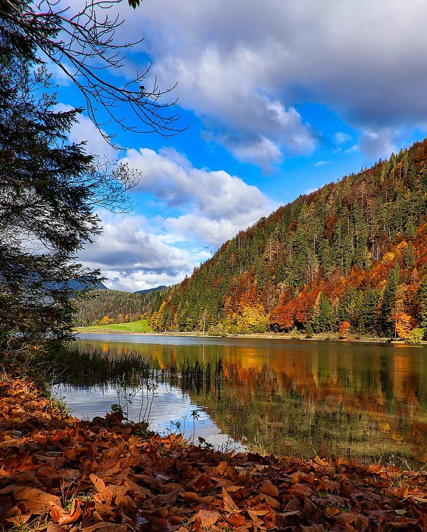 ruduo, ežeras, kalnai, miškas, rudens lapai, pobūdį, kraštovaizdį, tirolis, medis, geltona, mėlyna