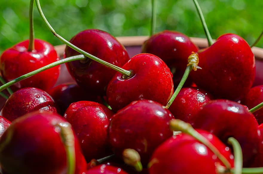 ciliegie, rosso, dolce, delizioso, frutta, drupacee, conchiglia, gustoso, estate, maturo, bio