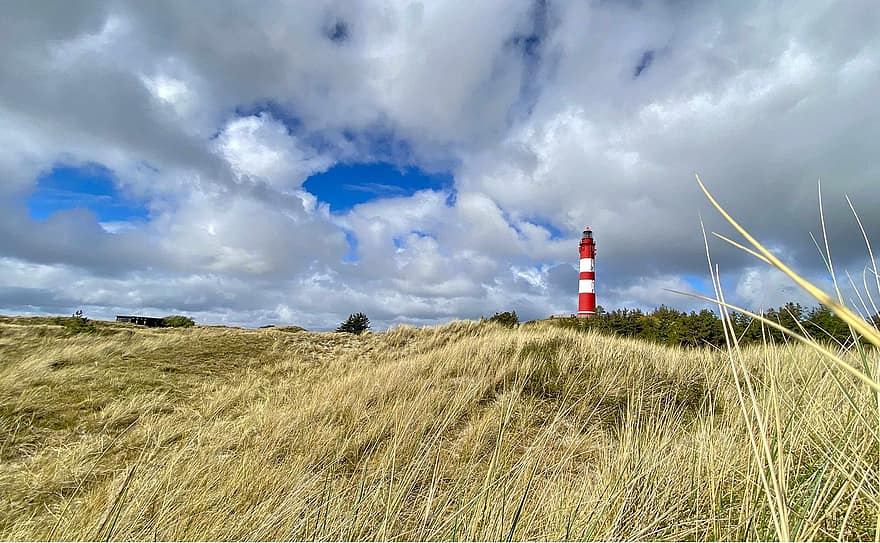 faro, Amrum, prato, Leuchtturm Amrum, Nordfriesland, Torre, erba, duna, cielo, nuvole
