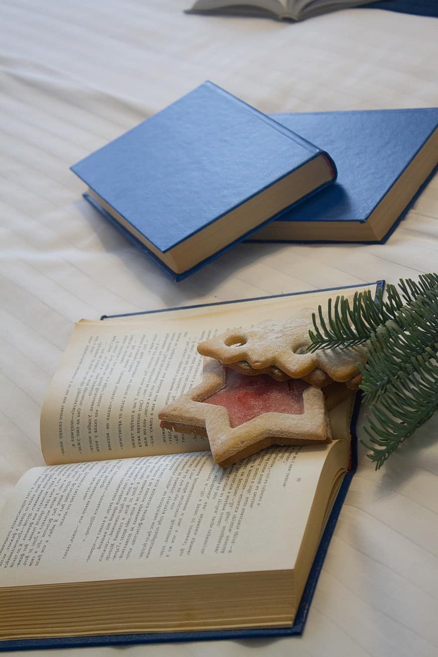Bücher, Weihnachtsplätzchen, Weihnachten, lesen, Kekse, Dekor, Weihnachtsbaum, Star, Kiefernzweig, Seite, Literatur
