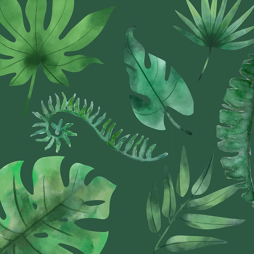rostlin, listy, botanické, dekorativní, design, grafický, grafický design, tvořivý
