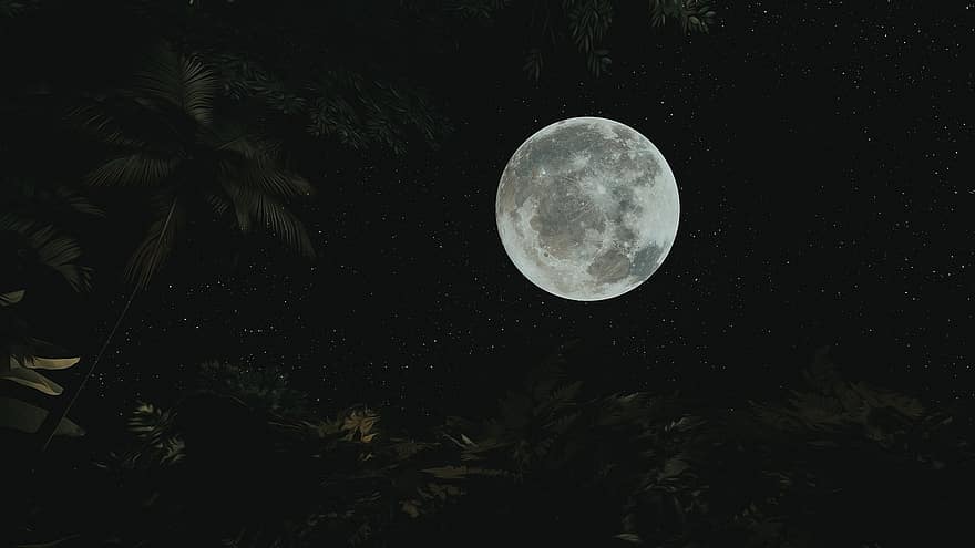 Луна, ночь, небо, природа, Изобразительное искусство, Посмотреть, обои на стену, астрономия, звезды, космос, галактика