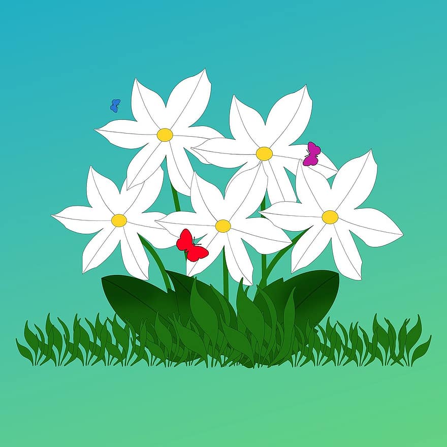 flors, planta, dibuix, flors blanques, papallones, pol·linitzar, herba, fulles, flor, estiu, color verd