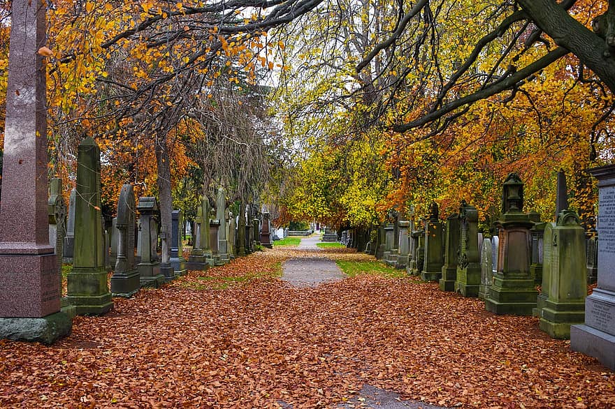 cimitero, Morte, le foglie, autunno, Scozia