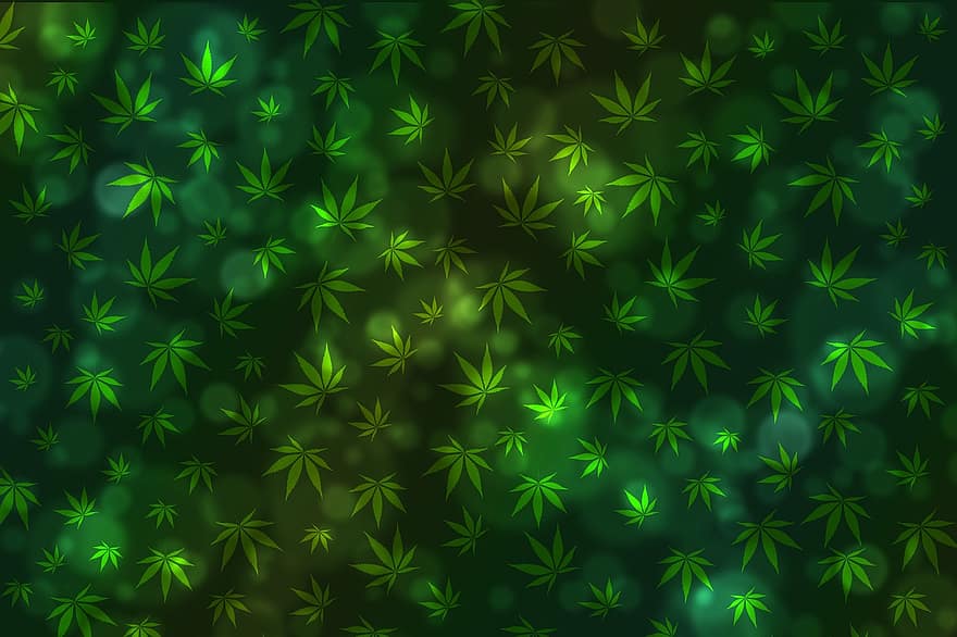 bokeh, bakgrund, textur, marijuana, cannabis, medicin, grön, abstrakt, glöd, webb, elegant