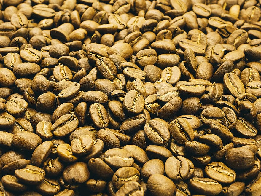 кофейные зерна, кофеин, кофе, фасоль, урожай, жареный, завтрак, капучино, напиток, эспрессо, семя