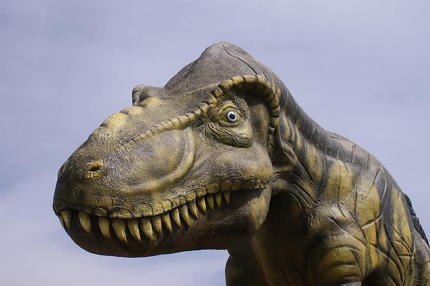 динозавр, Мексика, Пачука, музей