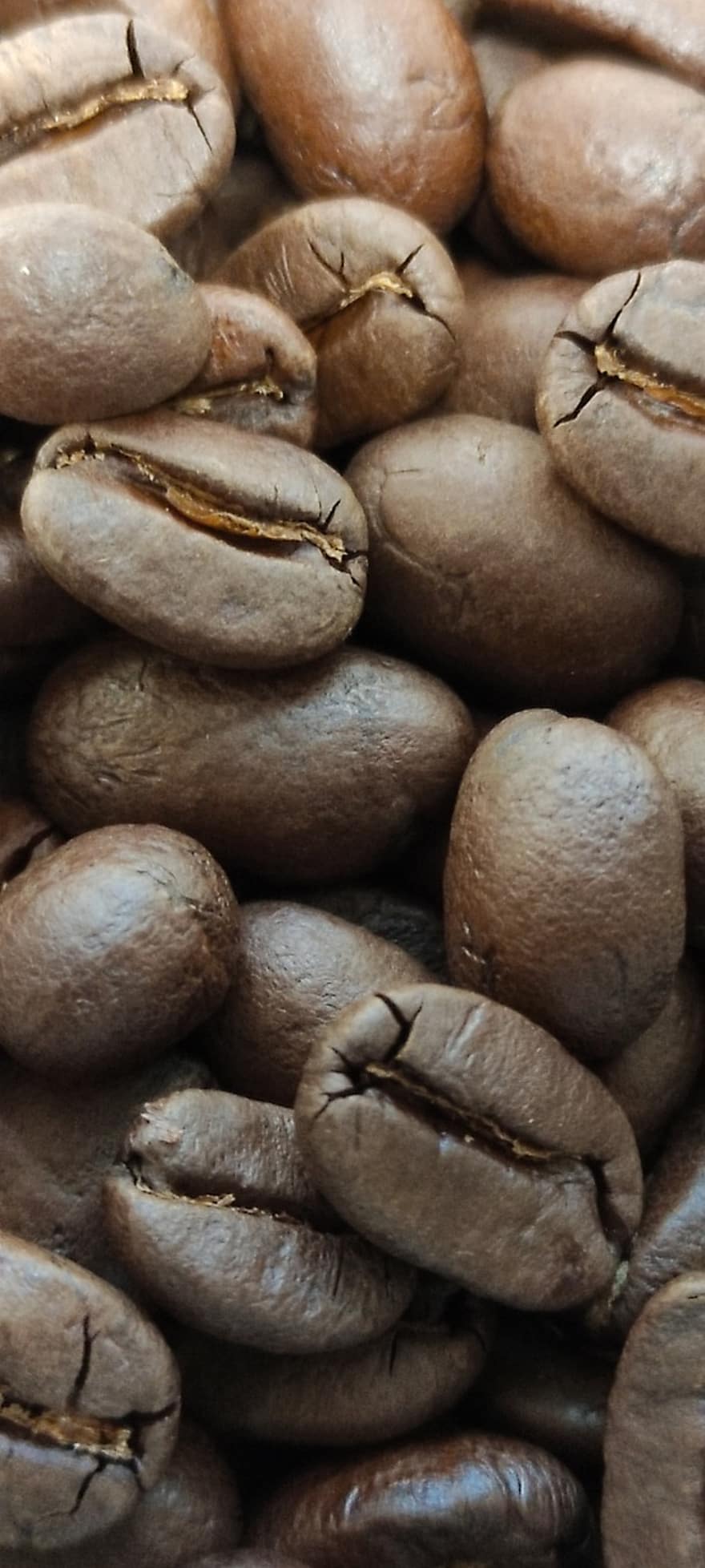 cà phê, đậu, rang, cà phê espresso, cận cảnh, hạt đậu, cafein, vĩ mô, tầng lớp, hạt giống, uống