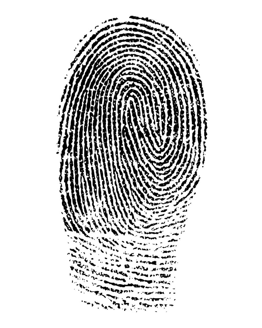 vingerafdruk, Mark, Vingerafdruk, identificatie, identiteit, afdruk, informatie, zwart, wit, icoon, vinger