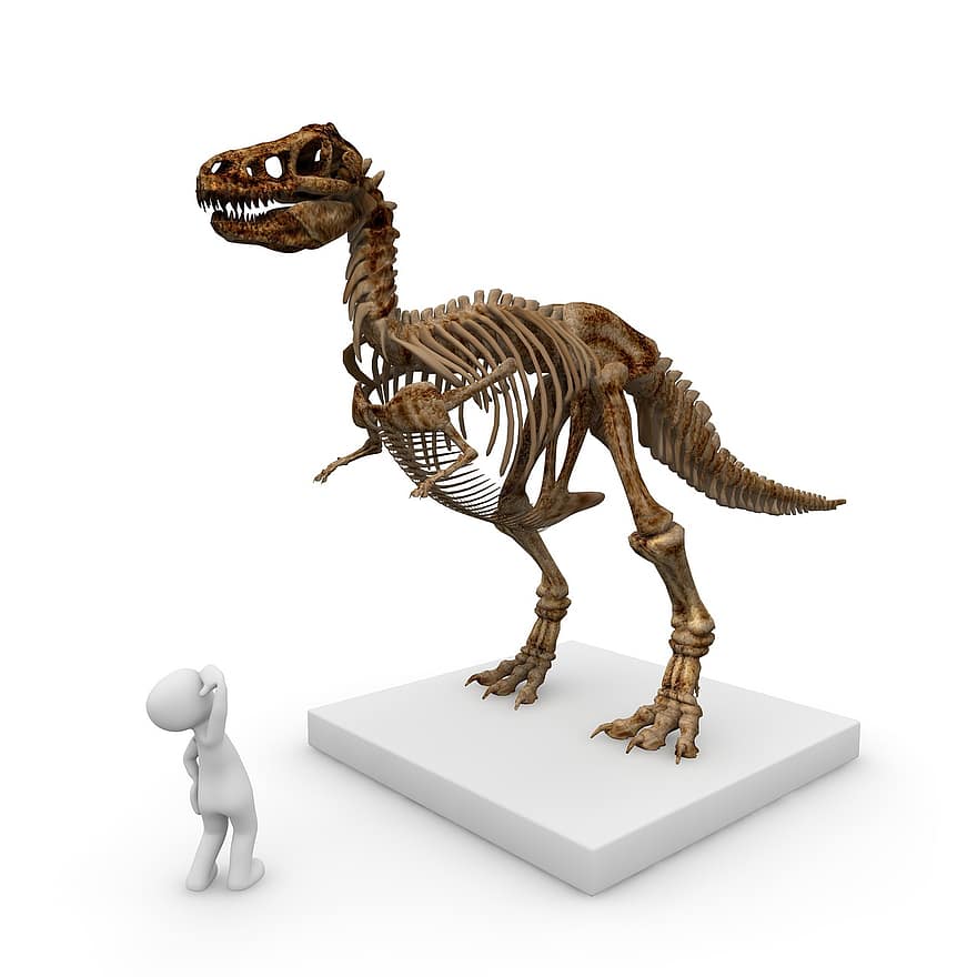 μουσείο, δεινόσαυρος, t rex, τυρανόσαυρος Ρεξ, dino, προϊστορία, επικίνδυνος, θηρευτής, Τζουράσικ Παρκ