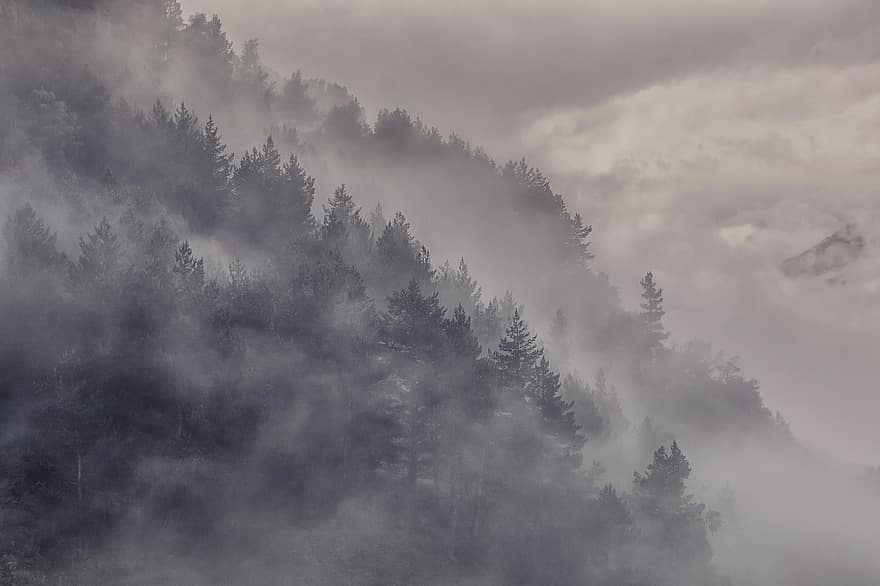 мъгла, гора, дървета, вечер, къмпинг, пътуване, лято, природа, пейзаж, Кавказ