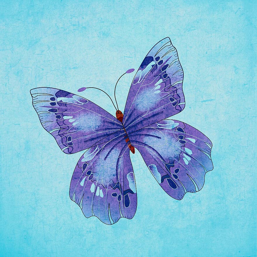sommerfugl, insekt, kunst, blå, smuk, natur, vinge, dyreliv, dekorative, Marmoreret baggrund, baggrund