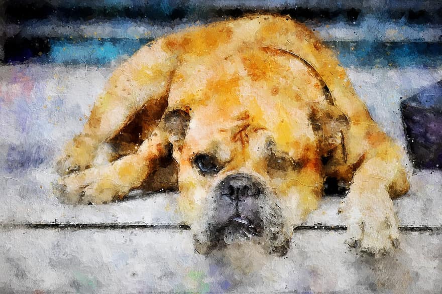 lukisan, Lukisan Digital, anjing, artistik, akuarel, penuh warna, tekstur, kumuh, kreatif