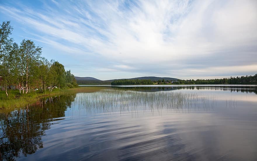 panorama, lago, agua, tarde, Lapónia, Finlândia, verão, azul, floresta, reflexão, árvore