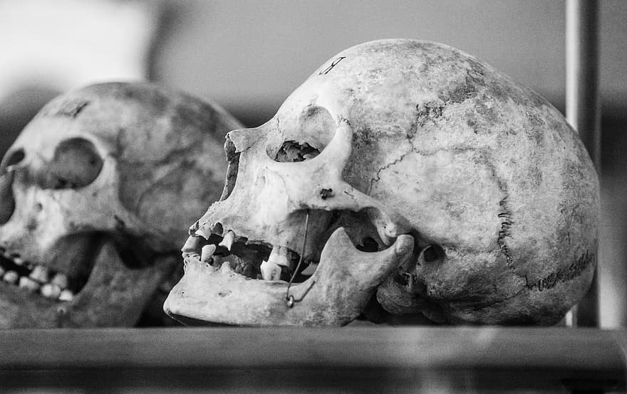 cráneo, antiguo, cráneo humano, perfil, en blanco y negro, vendimia, negro, humano, mal, sucio, horripilante