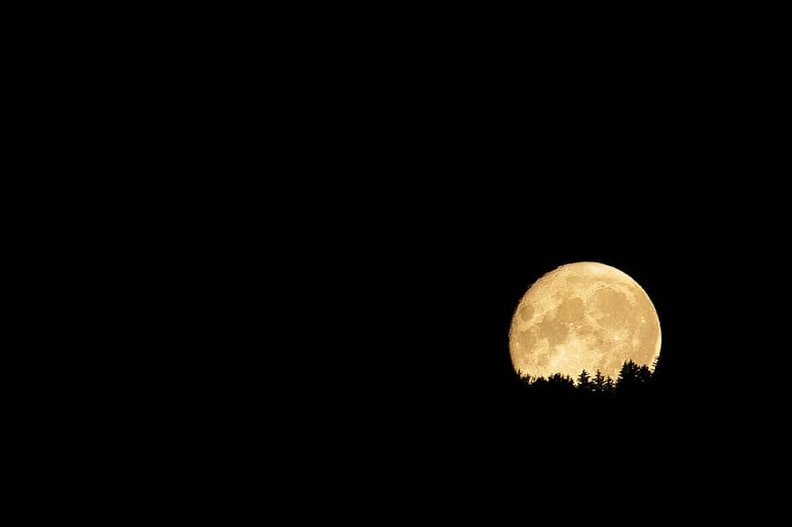 mēness, raksturs, naktī, ārā, satelītu, mežs