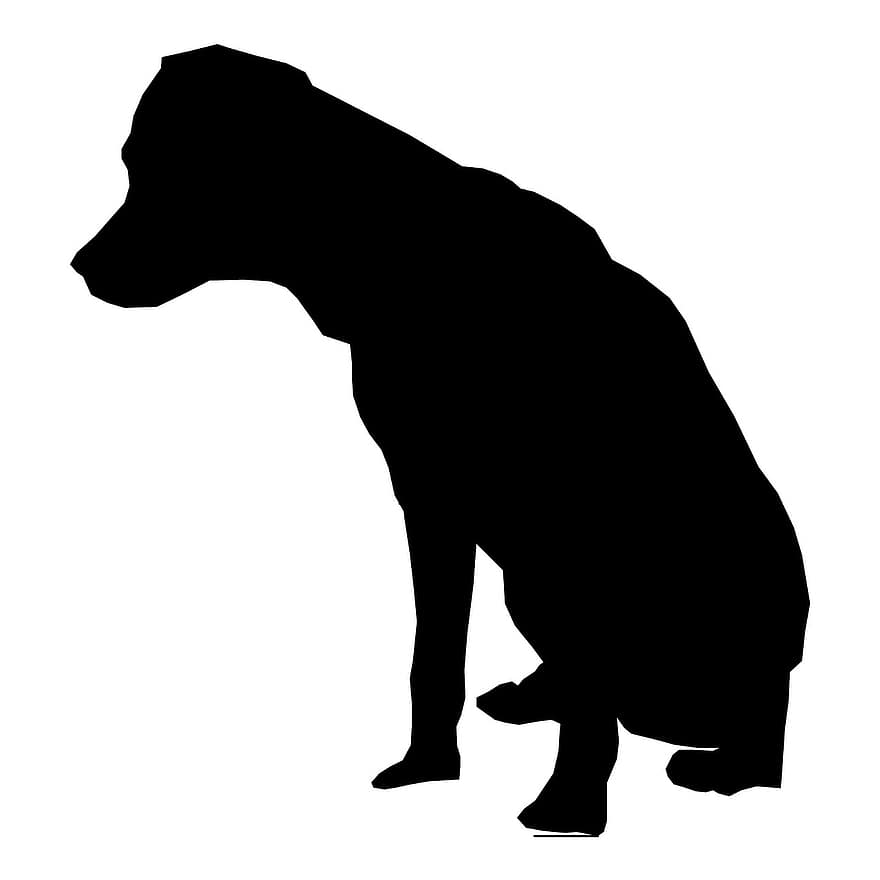 куче, чертеж, скица, порода, бял, силен, черно, сила, лоялност, работа, чистокръвен