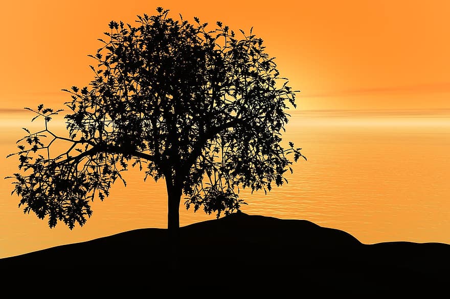 Tree, Sunset, Sky, Peace, Nature, Landscape, Sun, Sunrise, Scenic, View, Scenery