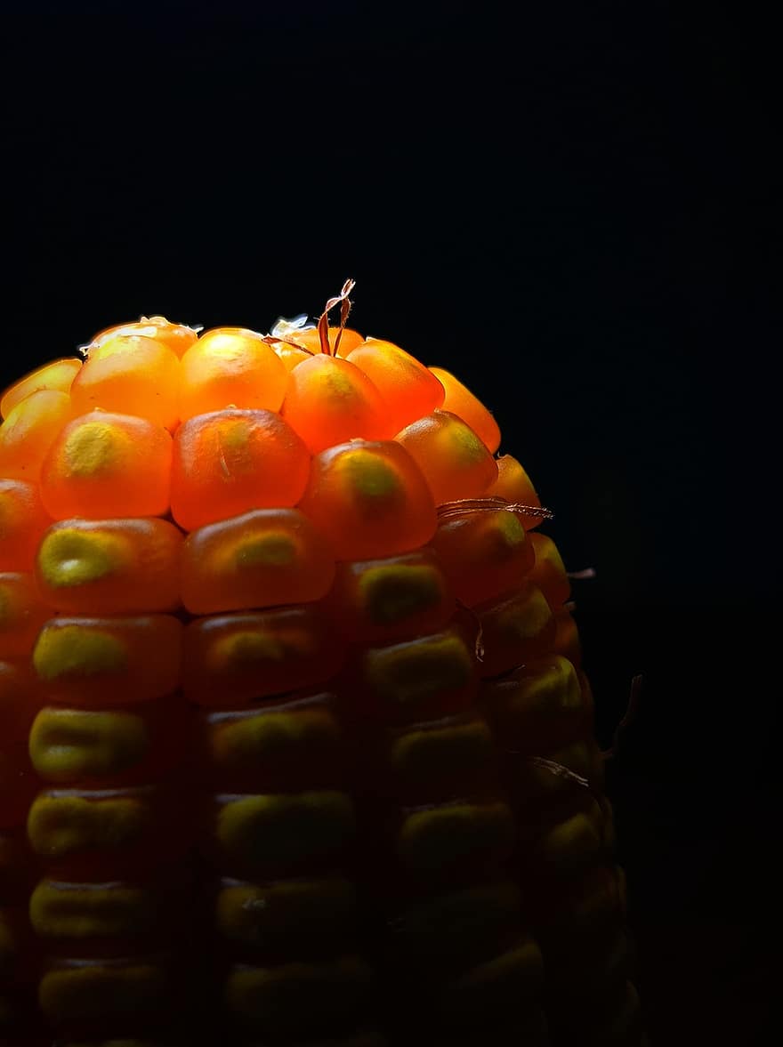 grano de maíz, maíz, comida, núcleo