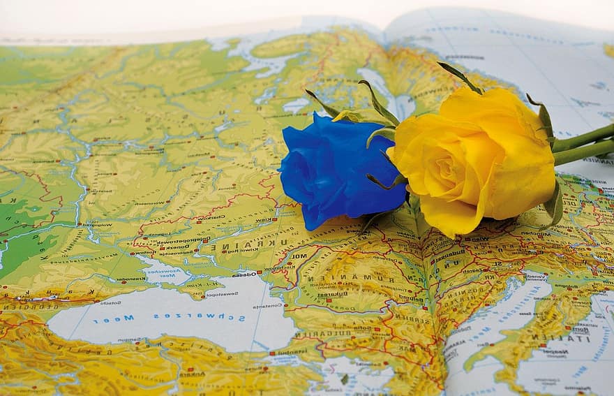 지도, 장미, 꽃, 우크라이나, 연대, 커뮤니티, 우크라이나 전쟁, 측은히 여김, 국가 색, 함께, 푸른 황색