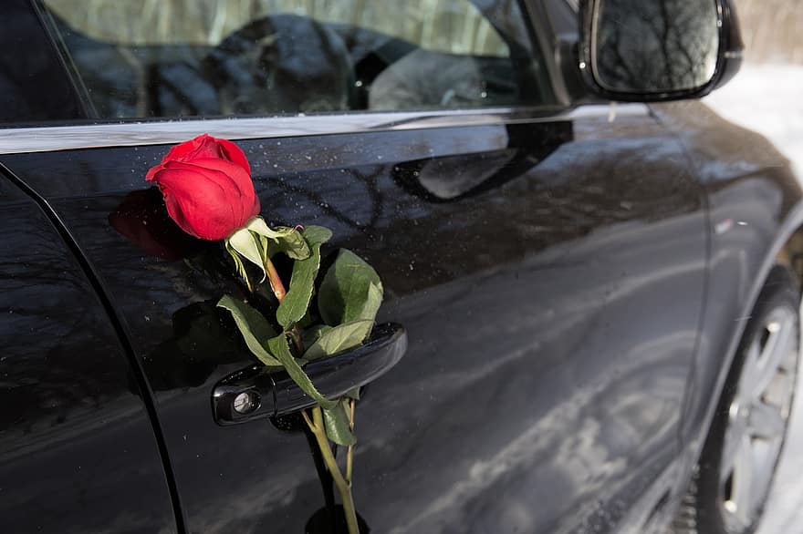kwiat, Róża, samochód, Walentynki, rocznica