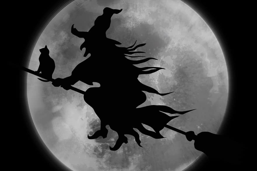 penyihir, kucing, halloween, bulan, sihir, menyeramkan, sapu, bayangan hitam