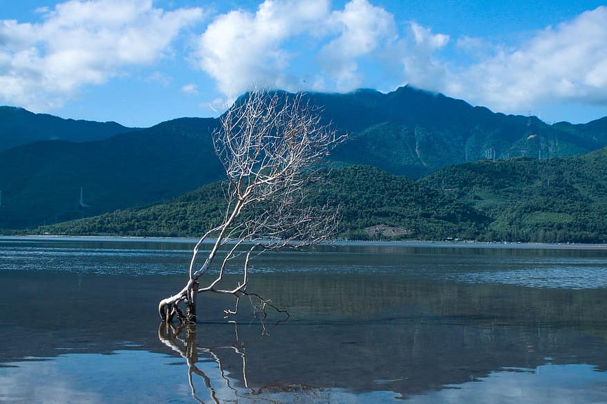 Lake, Mountains, Tree, Branches, Reflection, Dry Tree, Clouds