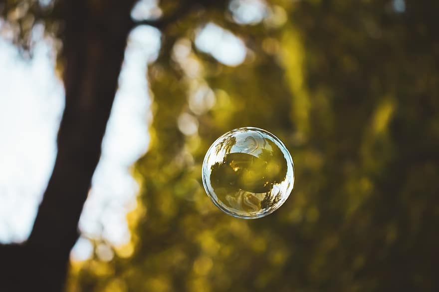 Soap Bubble, Floating, Reflection, Bubble, Nature, Closeup