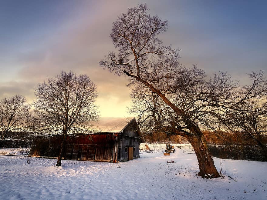låve, hus, trær, snø, trehus, vinter, kald, frost, jordbruk, skyer, skumring