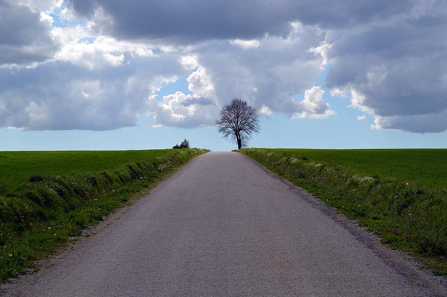 Road, Tree, Nature, Sky, Rural, Clouds, Travel, Exploration, grass, rural scene, meadow