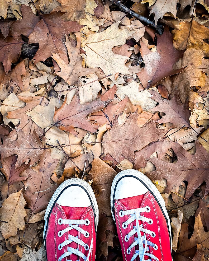 scarpe, autunno, le foglie, scarpe rosse, scarpe da ginnastica rosse, scarpe da ginnastica, calzature, foglie cadute, fogliame, foglie d'autunno, fogliame autunnale