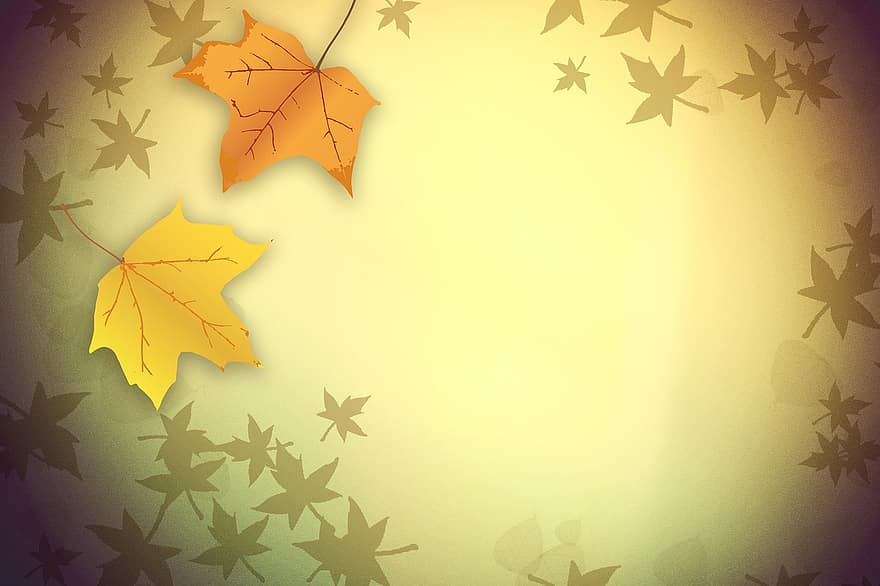 jesień, odchodzi, kolor upadku, tło, tekstura, jesienne liście, październik, drzewo