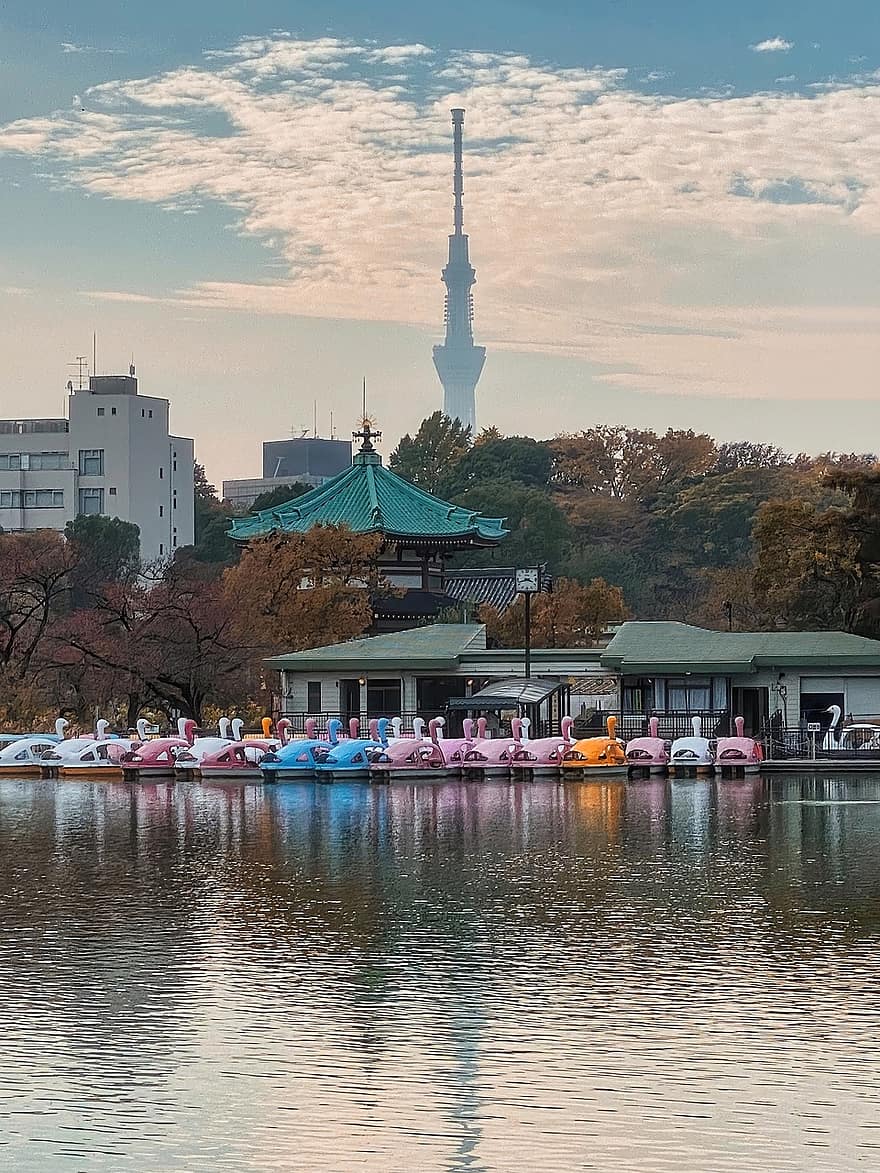 Shinobazu-tó, ueno park, taito város, tokyo, Japán, ég, templom, ősz, csónak, víz, hajó