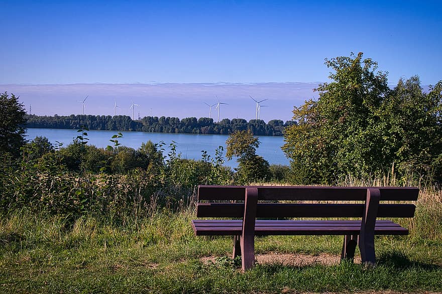 公園のベンチ、湖、自然