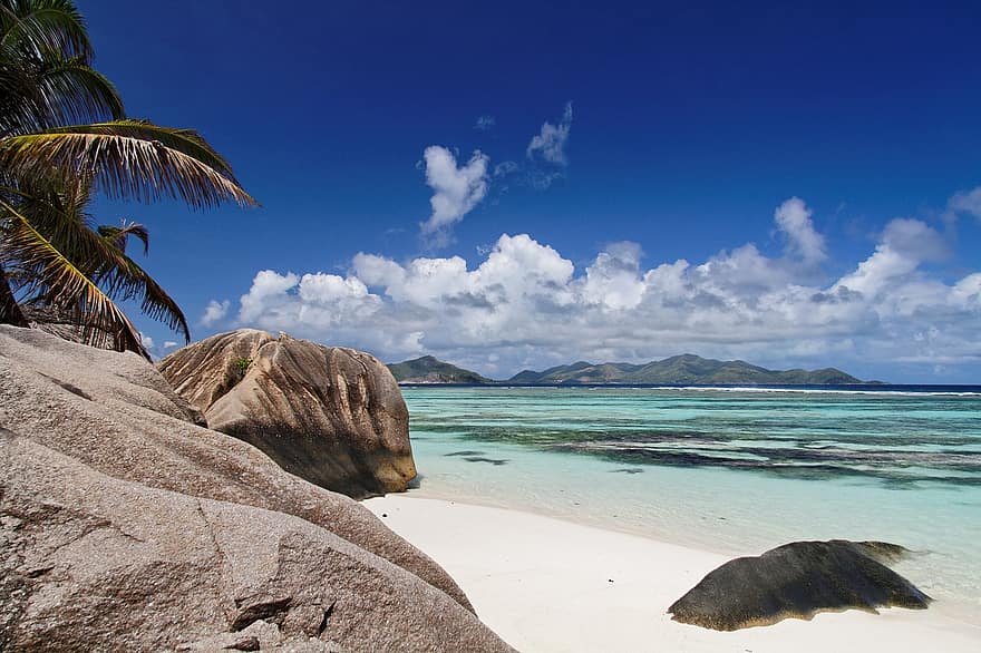 пальмовые деревья, океан, тропический, заход солнца, море, остров, пляж, сумерки, Seychelles, La Digue, Anse Source D'Argent