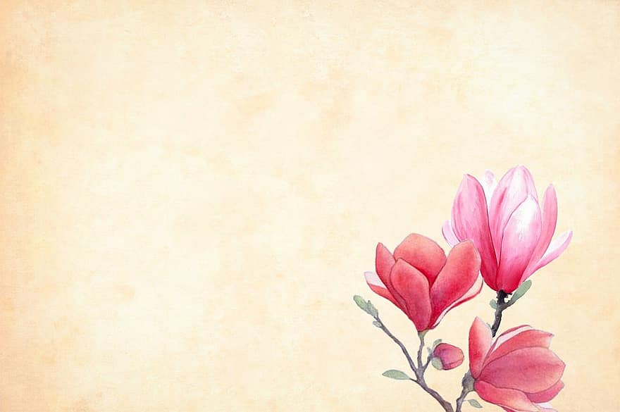 Blume, Hintergrund, Aquarell, Blumen-, Rand, Gartenrahmen, Frühling, Jahrgang, Karte, Kunst, Hochzeit