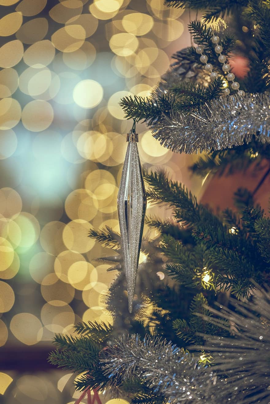 ramo, ornamenti, luci, albero, festeggiare, Natale, addobbi natalizi, albero di Natale, christmasbackground, dicembre, decorare