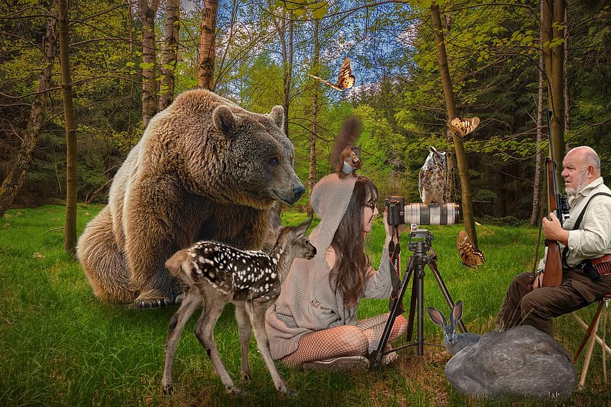 kız, fotoğrafçı, ayı, geyik, avcı, orman, hayvanlar