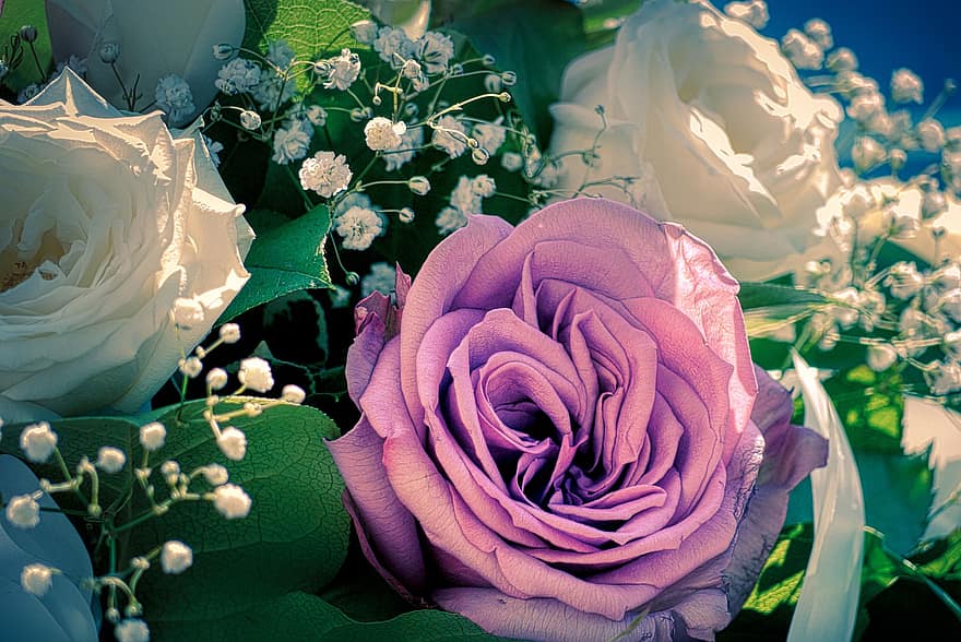 рози, букет от рози, букет, цвят, разцвет, цъфна роза, природа, градина, сватбен букет, булчински букет, лилаво