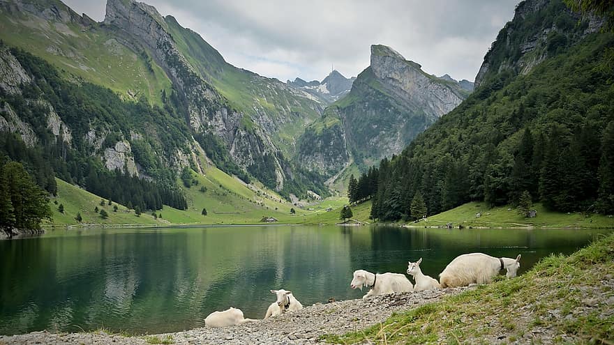 lago, montanhas, cadeia de montanhas, Alpes, reflexão, Vales, natureza, alpino, Bergsee, Suíça, panorama