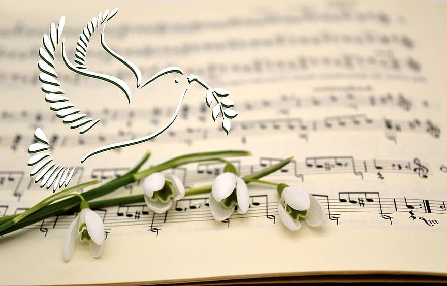 merpati, lembar musik, harapan, bunga, perdamaian, ranting zaitun, merpati damai, perdamaian dunia, simbol, penerbangan, sayap