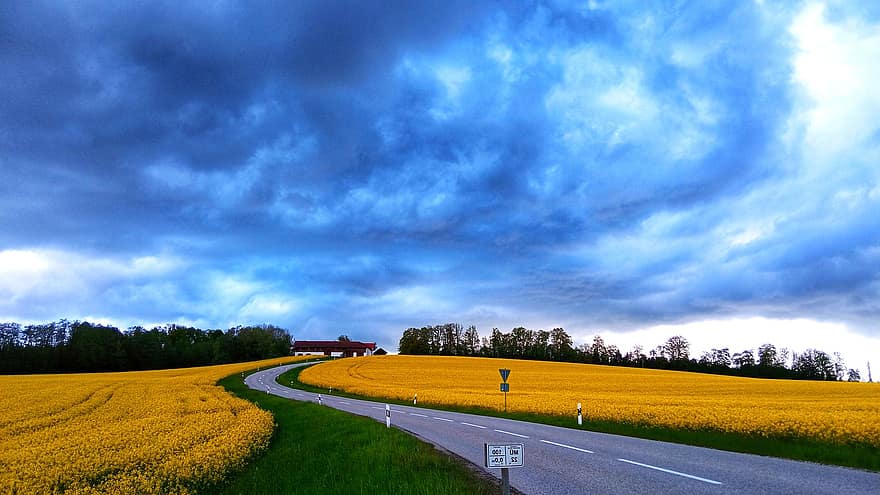 Bavaria, bầu trời, hiếp dâm hạt có dầu, màu vàng, màu xanh da trời