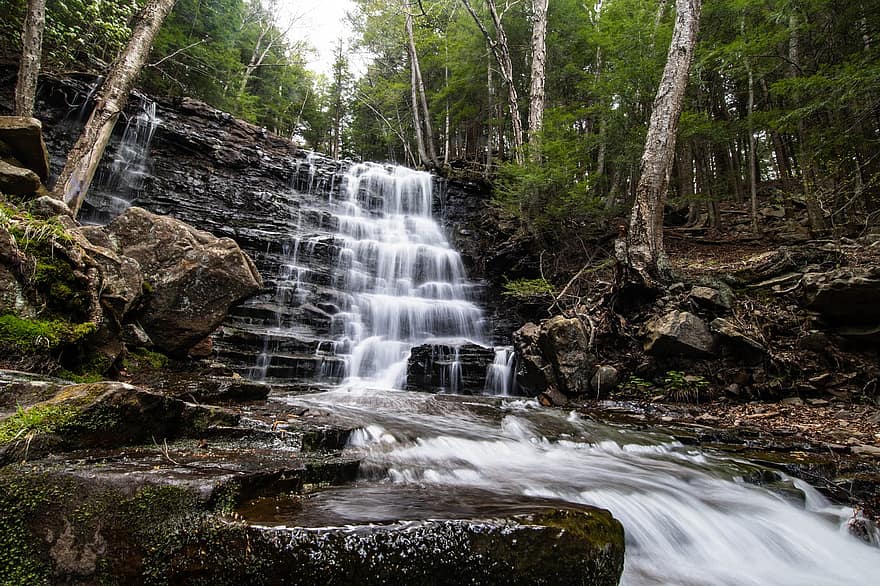 Waterfall, River, Stream, Falls, Rocks, Creek, Flow, Trees, Nature, Outdoors, Scenic