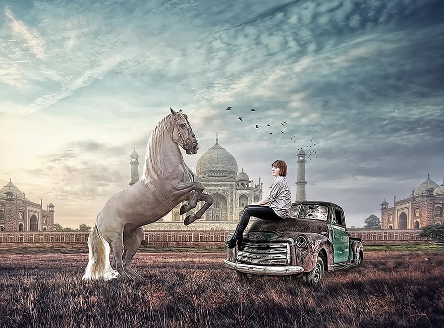 kůň, imaginární, dívka, Taj Mahl, džungle, auto, obrázek, dobrodružství, toyota, poušť, Dubaj