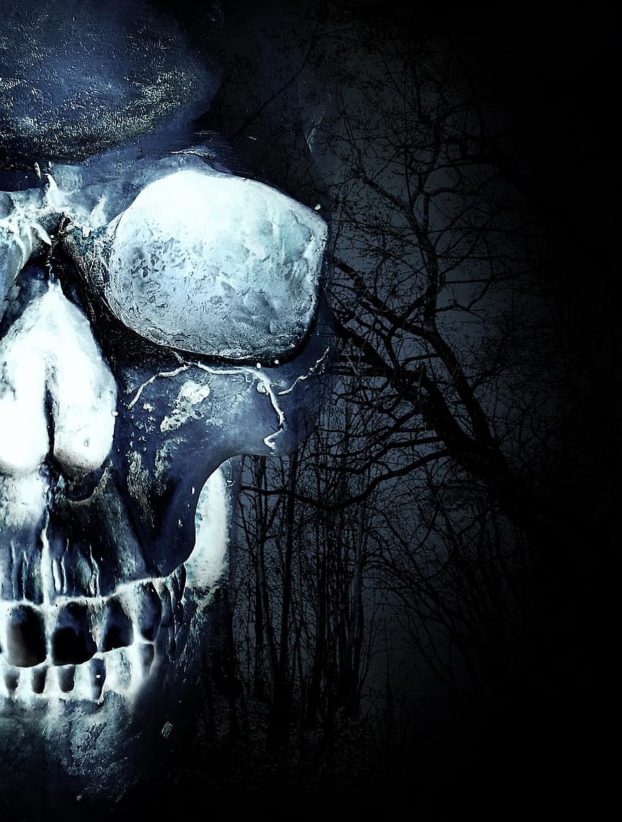 cranio, foresta, notte, buio, orrore, thriller, Halloween, macabro, pauroso, Morte, morto
