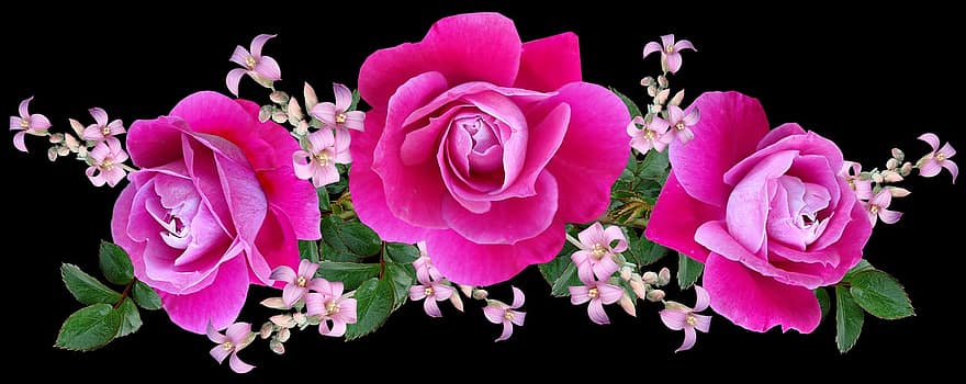 bloemen, rozen, arrangement, decoratie, romantisch, tuin-